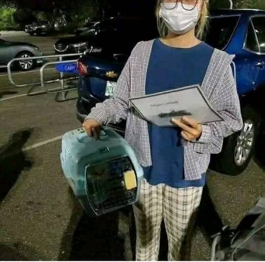 shipping capuchin monkey